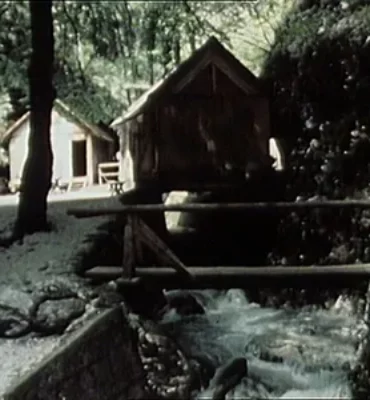 2467521610508743_precudoviti-cvet-je-v-grapi-crni_1.1.15