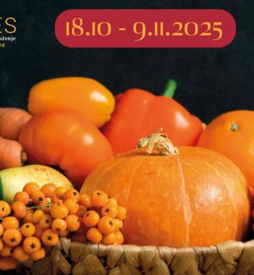 552506648_1404303061648957_7455261145320075977_n