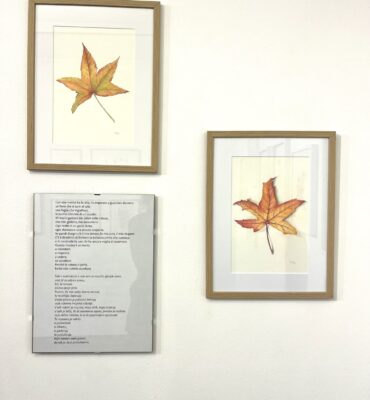 608216233_2329161590922545_1991731427724058136_n