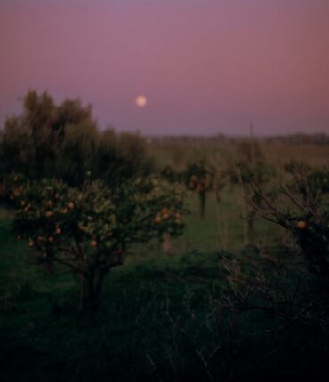 652896704_1558097752983559_3591592796841836594_n