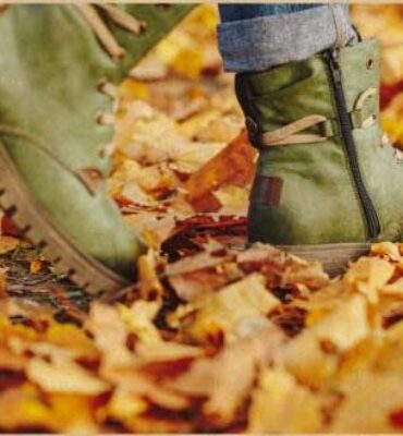 Vabilo mail-whatsapp SLO