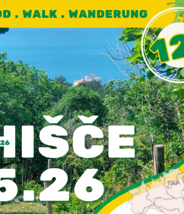kohisce 2026