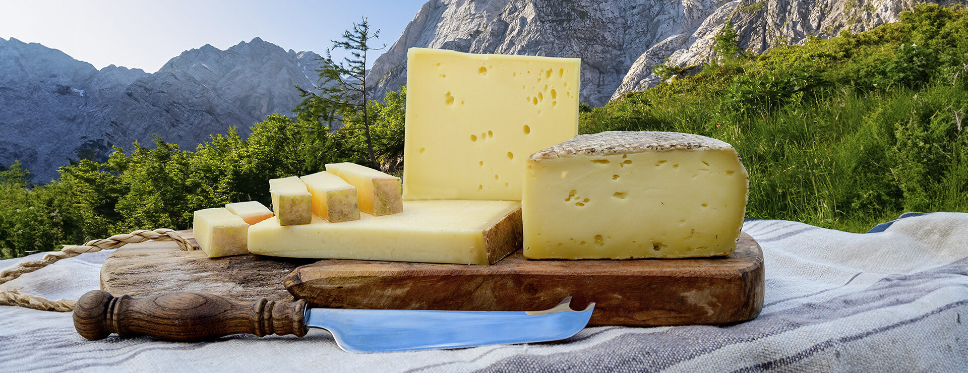 Cheese collection, French beaufort, abondance, emmental, tomme de savoie cheeses served outdoor in Savoy region, with Alpine mountains peaks in summer on background