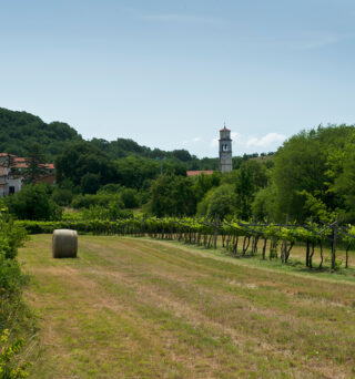 The village of Sgonico in the province of Trieste on a hot summer day. Italy