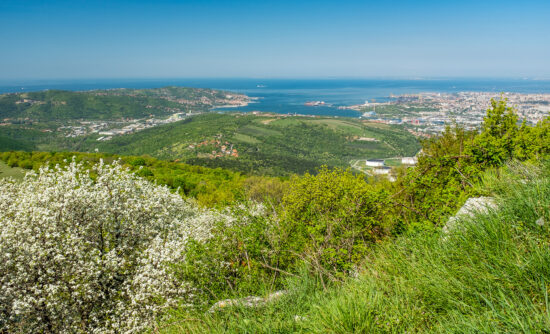 Panoramic view from castle Socerb in Slovenia to adriatic sea with bay of city Muggia and Triest in Italy, Europe