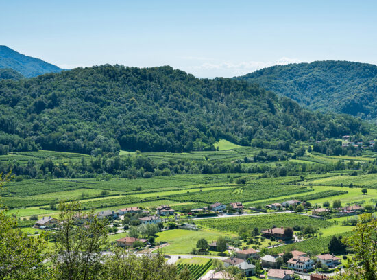 Beautiful landscape with Italian vineyards  at Ramandolo, Udine province, Friuli Venezia Giulia, Italy