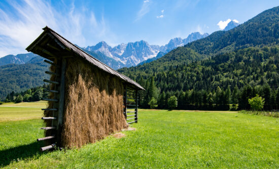 Kozolec - slovenian typical hayrack with beautiful panorama of Julian Alpes, Slovenia