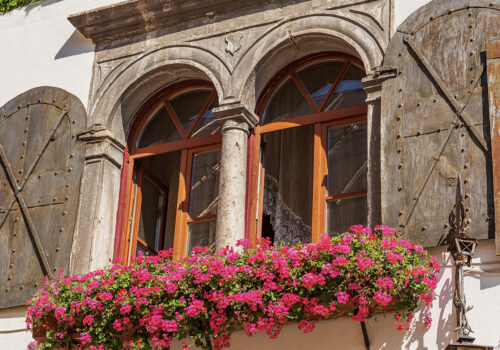 Close-up of an ancient mullion window with metal shutters and geranium flowers. Small village of Malborghetto Valbruna, Val Canale, Udine province, Friuli-Venezia Giulia, Italy, Europe.