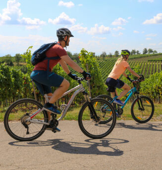 Young couple on a bicycle tour in the vineyards