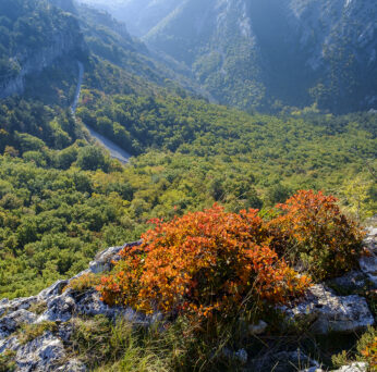 Val Rosandra is a valley, between the city of Trieste and the border with Slovenia.